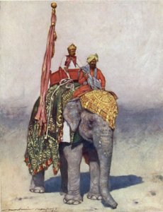 Een Olifant uit Jaipur